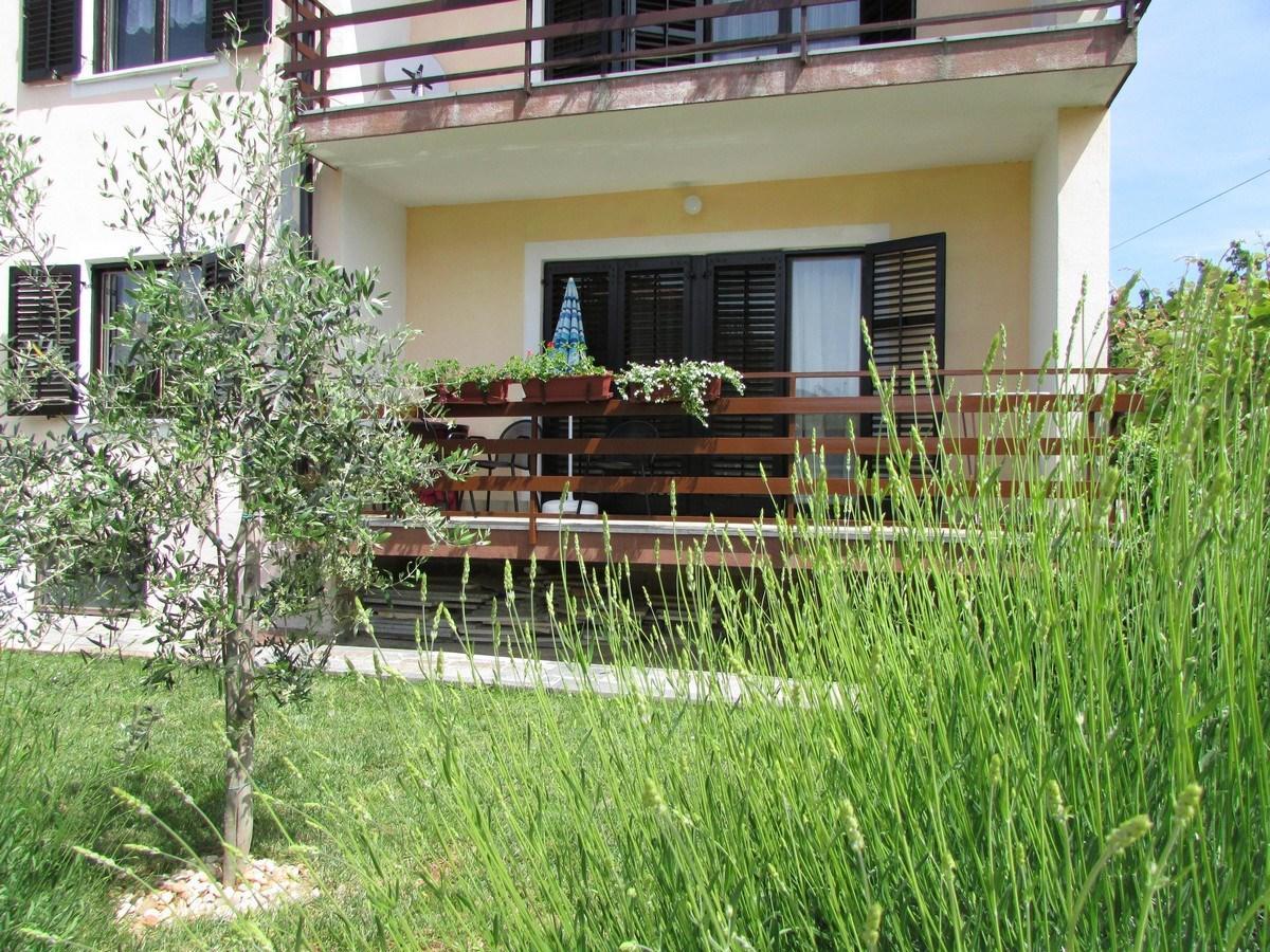 Mirela House With Apartment Umag Exteriör bild